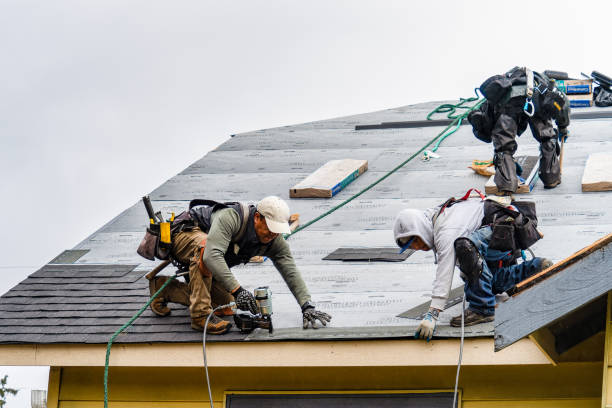 Professional Storm Damage Roof Repair technician working in Bat Cave, NC